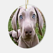 WEIMARANER PUPPY KERSTVERSIERING KERAMISCH ORNAMENT (Links)