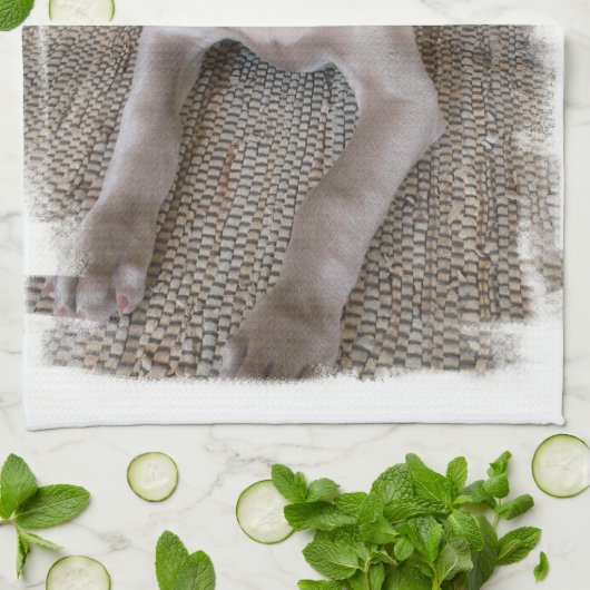 Weimaraner Puppy Kitchen Towel Theedoek (Gevouwen)