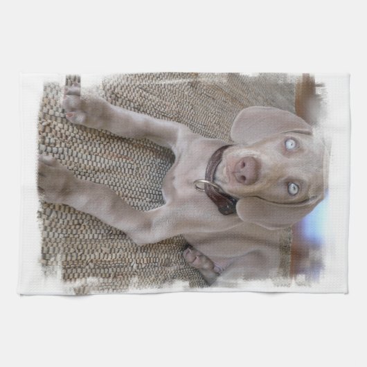Weimaraner Puppy Kitchen Towel Theedoek (Horizontaal)