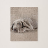 Weimaraner puppy legpuzzel (Verticaal)