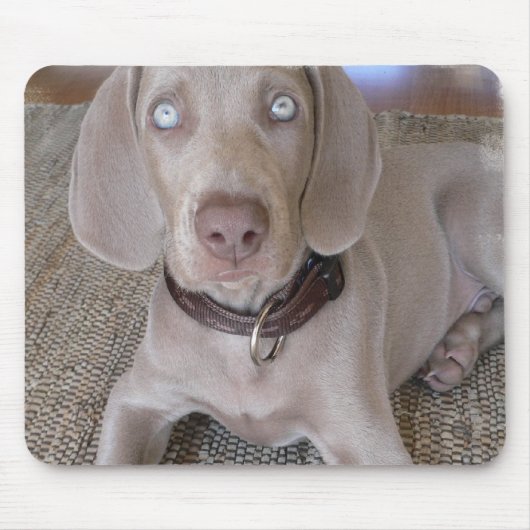 Weimaraner Puppy Muismat (Voorkant)