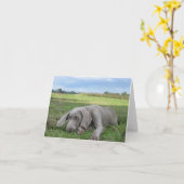 Weimaraner Puppy Notecard Kaart (Gele Bloem)