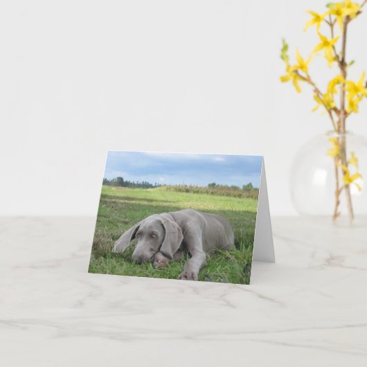 Weimaraner Puppy Notecard Kaart (Gele Bloem)