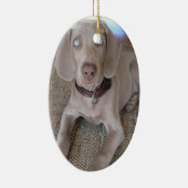 Weimaraner Puppy Ornament (Rechts)