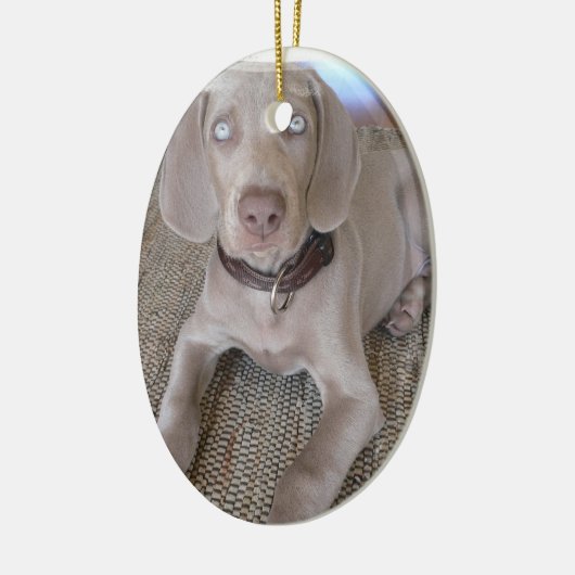 Weimaraner Puppy Ornament (Links)