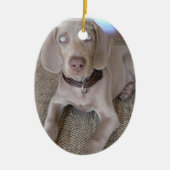 Weimaraner Puppy Ornament (Voorkant)