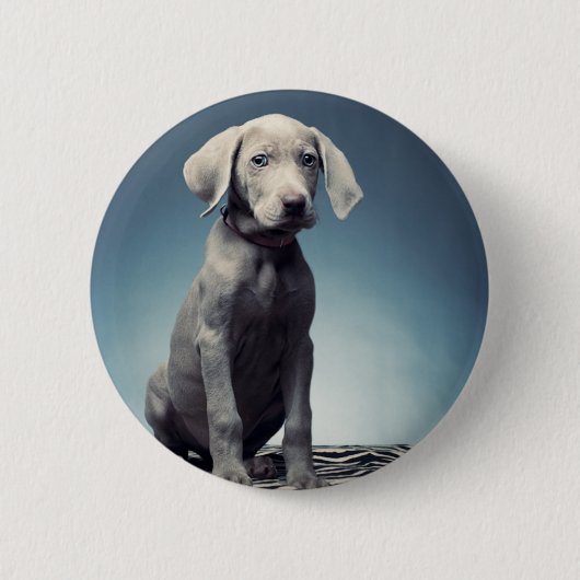 Weimaraner puppy ronde button 5,7 cm (Voorkant)