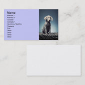 Weimaraner puppy visitekaartje (Voorkant / Achterkant)