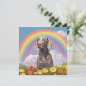 Weimaraner Rainbow Bridge Memorial aangepaste hond (Staand voorkant)
