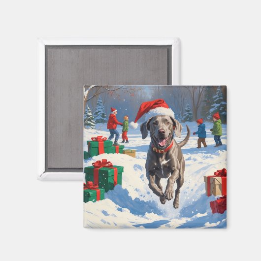 Weimaraner Rent in de Sneeuw met Kerstmuts Magneet (Voorkant / Achterkant)