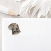 Weimaraner Retouradreslabel Etiket (Insitu)