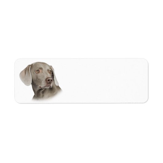 Weimaraner Retouradreslabel Etiket (Voorkant)