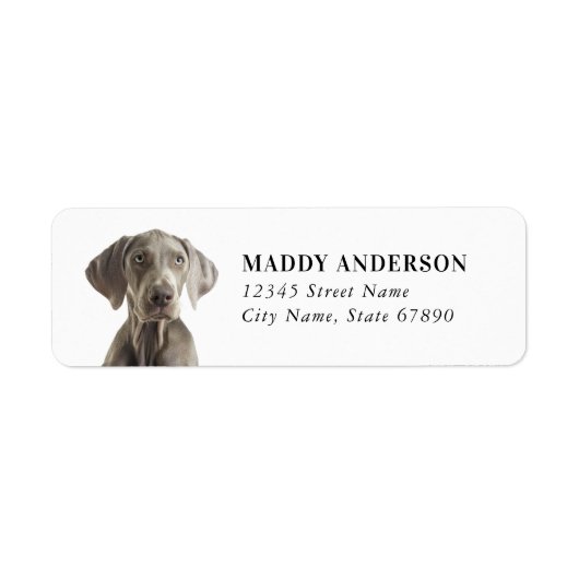 Weimaraner Return Address Labels (Voorkant)