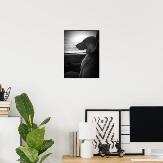 Weimaraner Riding Shotgun - Canvas Poster (Thuiskantoor)