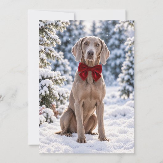 Weimaraner Rode Strik Kerstdag Kaart (Voorkant)