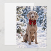 Weimaraner Rode Strik Kerstdag Kaart (Voorkant / Achterkant)