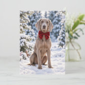 Weimaraner Rode Strik Kerstdag Kaart (Staand voorkant)