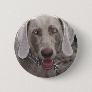 Weimaraner Ronde Button 5,7 Cm