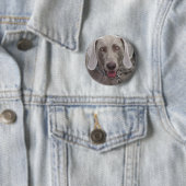 Weimaraner Ronde Button 5,7 Cm (In situ)