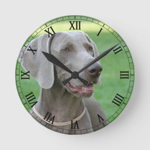 Weimaraner Ronde Klok