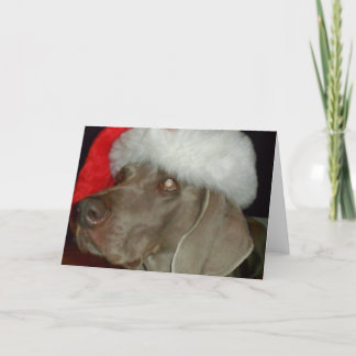 Weimaraner Santa Kaart