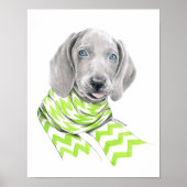 Weimaraner schattige puppy met sjieke Dog-portretk Poster (Voorkant)