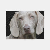 Weimaraner Silver Gray Fleece Deken (Voorkant (Horizontaal))