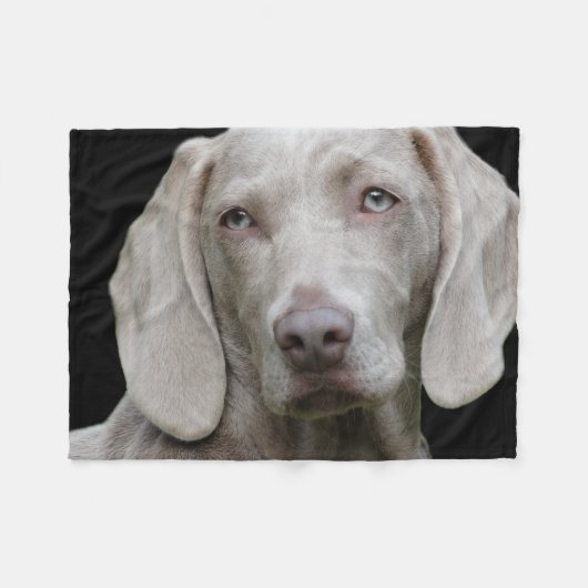 Weimaraner Silver Gray Fleece Deken (Voorkant (Horizontaal))