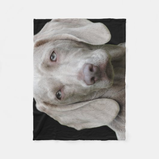 Weimaraner Silver Gray Fleece Deken (Voorkant)
