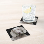 Weimaraner Silver Gray Kartonnen Onderzetters (Insitu)