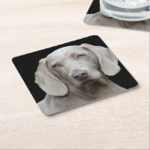 Weimaraner Silver Gray Kartonnen Onderzetters (Schuin)