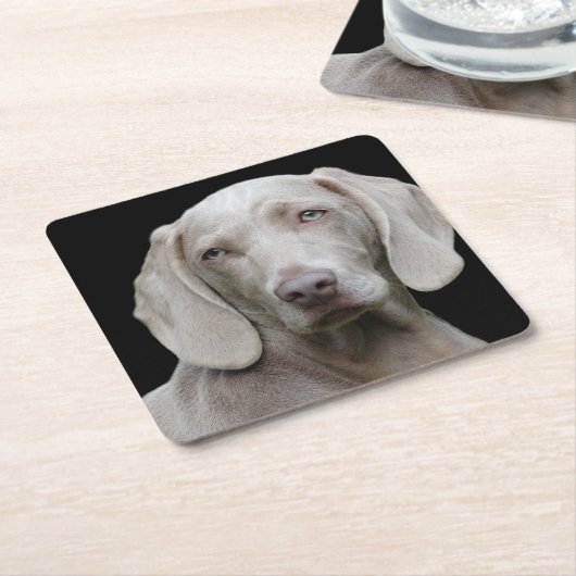 Weimaraner Silver Gray Kartonnen Onderzetters (Schuin)