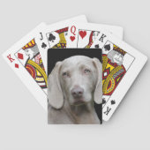 Weimaraner Silver Gray Pokerkaarten (Achterkant)