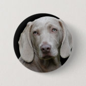 Weimaraner Silver Gray Ronde Button 5,7 Cm (Voorkant)