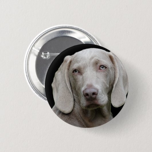 Weimaraner Silver Gray Ronde Button 5,7 Cm (Voorkant /achterkant)