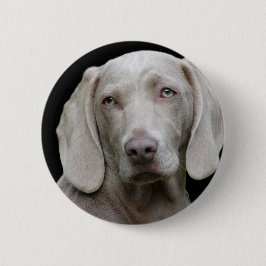 Weimaraner Silver Gray Ronde Button 5,7 Cm