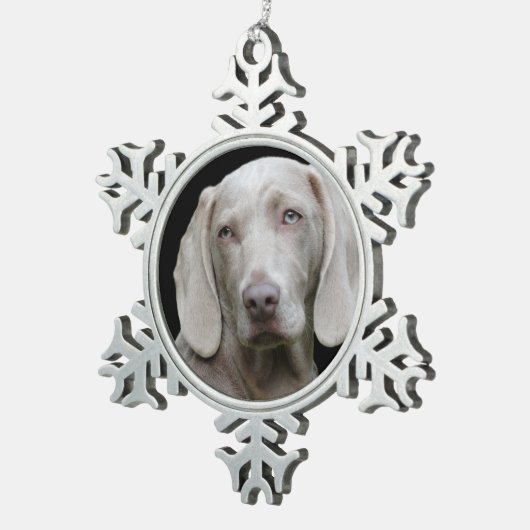 Weimaraner Silver Gray Tin Sneeuwvlok Ornament (Rechts)