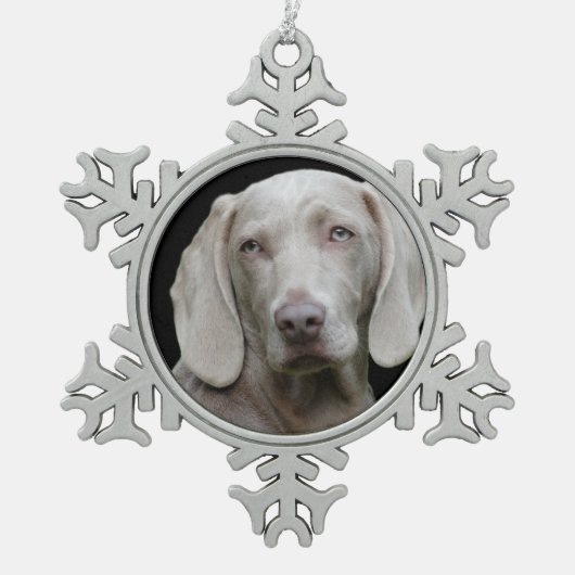 Weimaraner Silver Gray Tin Sneeuwvlok Ornament (Voorkant)