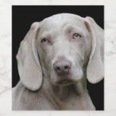 Weimaraner Silver Gray Wijn Etiket (Enkel label)