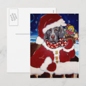 Weimaraner Sinterklaas Feestdagenkaart (Voorkant / Achterkant)