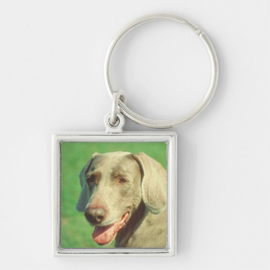 Weimaraner Sleutelhanger (Voorkant)