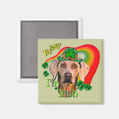Weimaraner St. Patrick's Day Magneet (Voorkant / Achterkant)