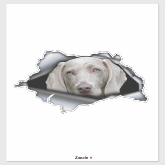 Weimaraner stickers Weimaraner sticker (Vel)