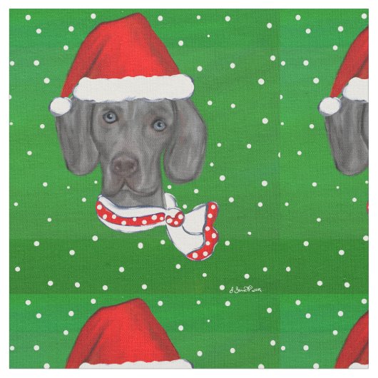 WEIMARANER STOF (Close Up)