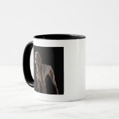 Weimaraner, studioshot mok (Voorkant links)