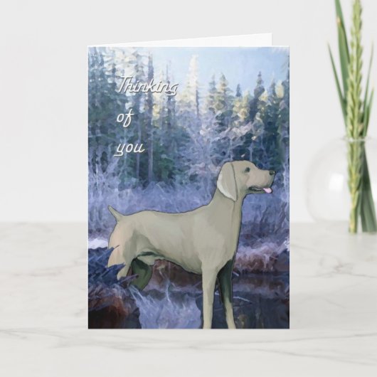 Weimaraner_Sympathy_Card Kaart (Voorkant)