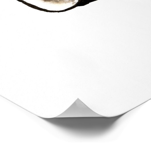 Weimaraner Tennis Pro Poster (Hoek)