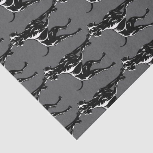 Weimaraner tissuepapier (Detail)