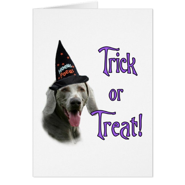 Weimaraner Trick (Voorkant)