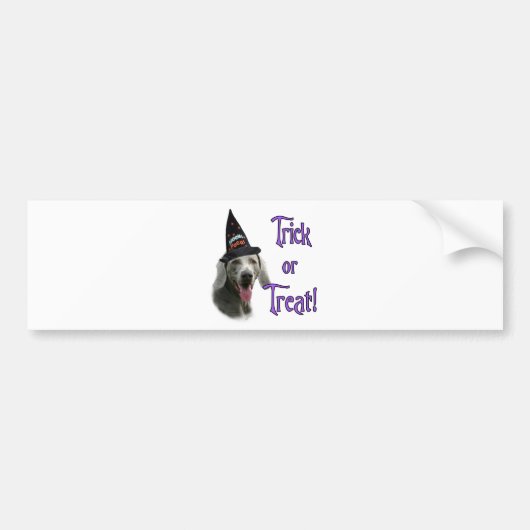 Weimaraner Trick Bumpersticker (Voorkant)